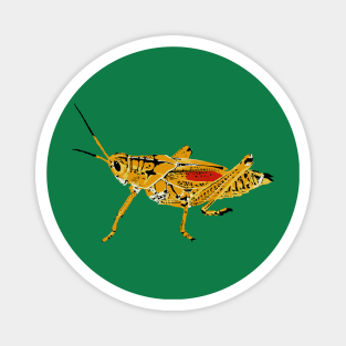 Eastern Lubber Grasshopper Magnet